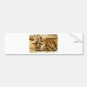 Lassend Schlafkatzen Lie Pencil Sketch Autoaufkleber