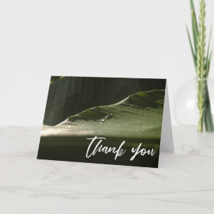 Lässige Handschrift Danke, Banana Leaf Foto Karte