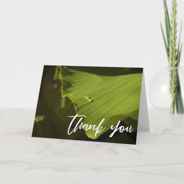 Lässige Handschrift Danke, Banana Leaf Foto Karte (Vorderseite)