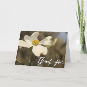 Lässige Handschrift Danke Dogwood Blossom Karte