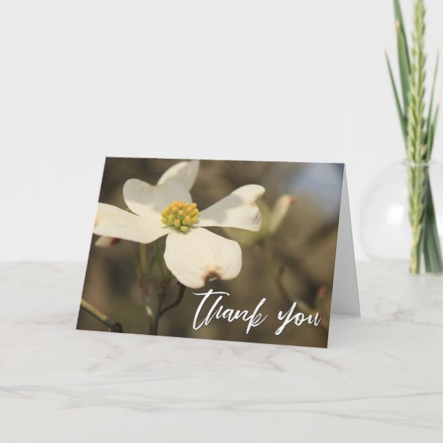 Lässige Handschrift Danke Dogwood Blossom Karte (Vorderseite)