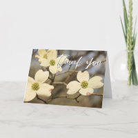 Lässige Handschrift Danke, Dogwood-Blüten