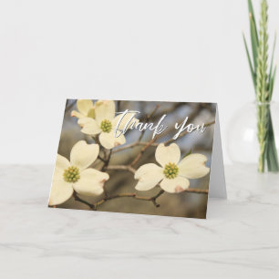 Lässige Handschrift Danke, Dogwood-Blüten Karte
