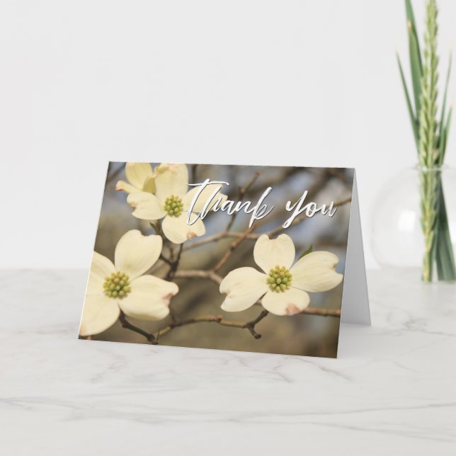 Lässige Handschrift Danke, Dogwood-Blüten Karte (Vorderseite)