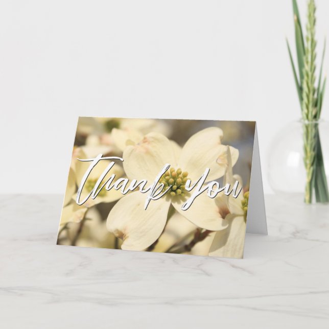 Lässige Handschrift Danke, Dogwood-Blüten Karte (Vorderseite)