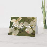 Lässige Handschrift Danke, Dogwood-Blüten