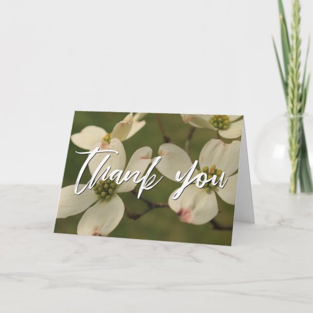 Lässige Handschrift Danke, Dogwood-Blüten Karte (Vorderseite)