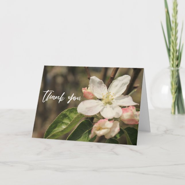 Lässige Handschrift Vielen Dank Apple Blossoms Karte (Vorderseite)