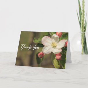 Lässige Handschrift Vielen Dank Apple Blossoms Karte