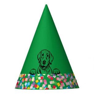 "Lass's PAWTY" Labrador Confetti Party Hats Partyhütchen