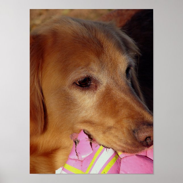 Lasst uns Ball spielen Poster (Vorne)