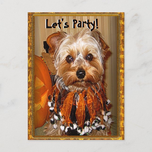 Lasst uns Party zu Halloween Yorkie machen Einladungspostkarte (Vorderseite)
