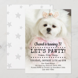 Lasst uns Pawty Foto Pet Birthday Party Einladung