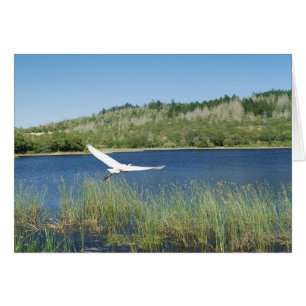 Lasst uns zum See wandern