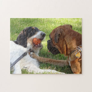 Lasst uns zusammen spielen