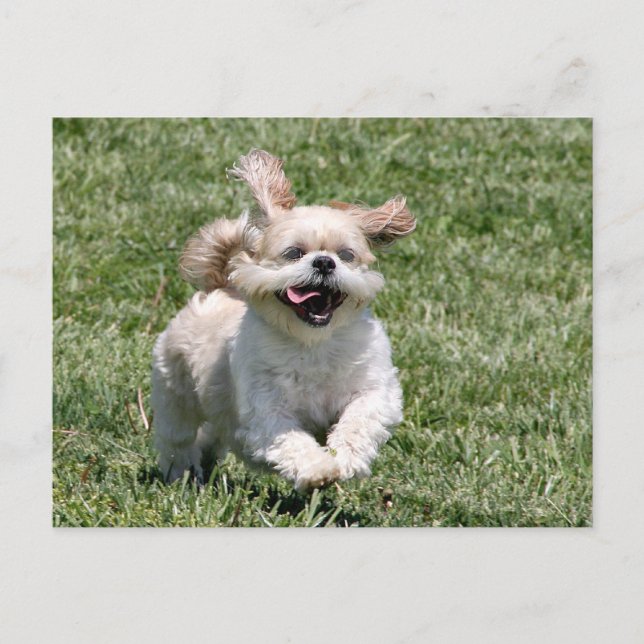 Lasst uns zusammen spielen postkarte (Vorderseite)