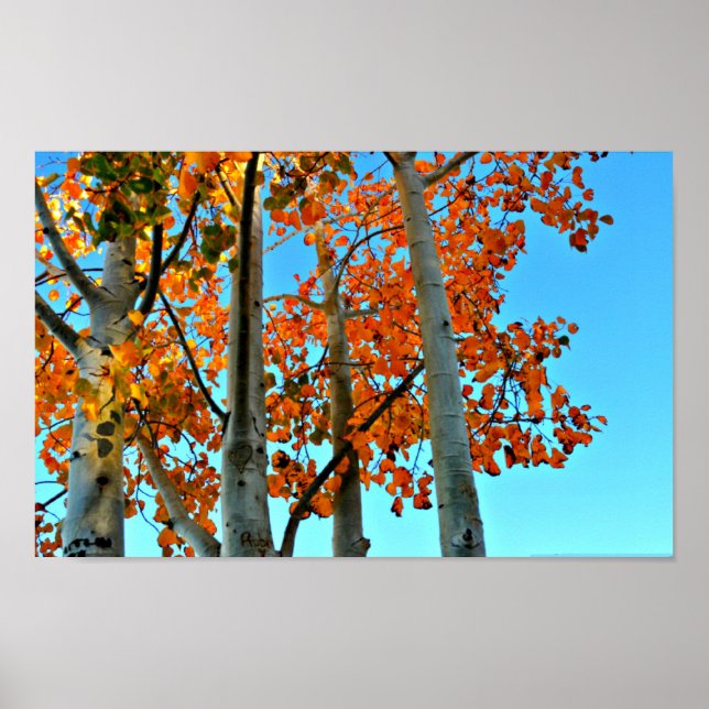 Late Autumn Afternoon Poster (Vorne)