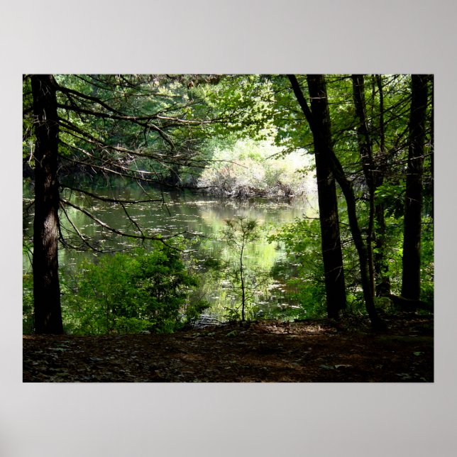 Late Summer at Walden Pond Poster (Vorne)