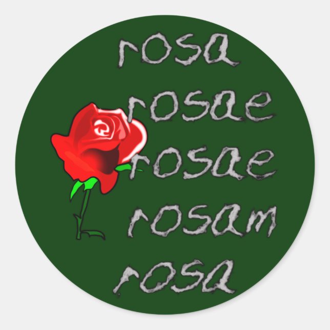 Latein Rose Deklination Rose Deklination Runder Aufkleber (Vorderseite)