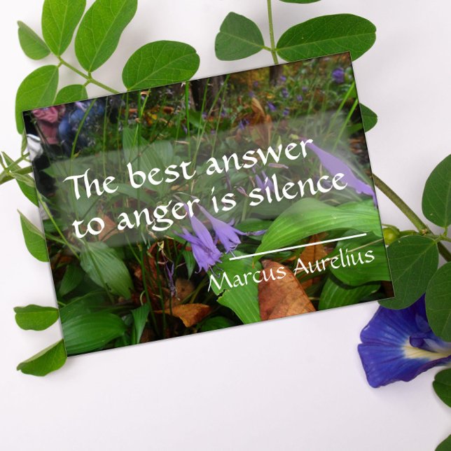 Latein Weisheitsziffer über das beste Antwortposte Poster (Von Creator hochgeladen)