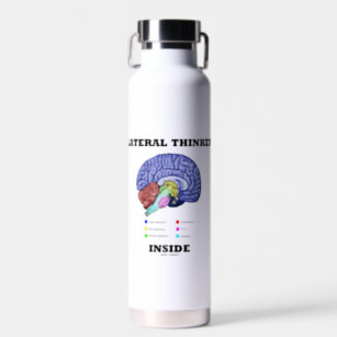 Lateraler Denker Inside Brain Geek Spaß Trinkflasche