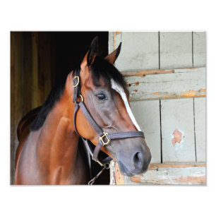 Latigo Spur Fotodruck