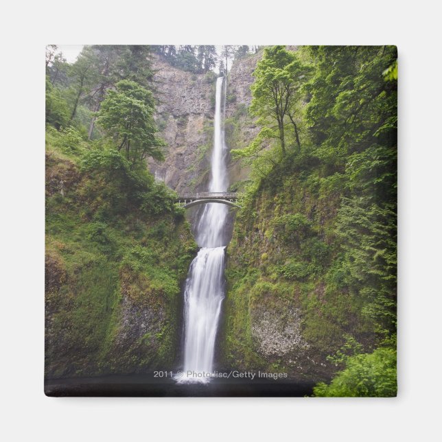 Latourell Falls & Bridge Columbia River Gorge Magnet (Vorne)