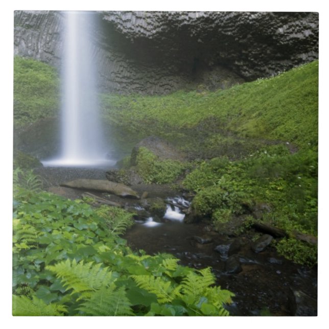 Latourell Falls, Columbia River Gorge, Oregon, Fliese (Vorderseite)