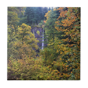 Latourell Falls, Columbia River Gorge, Oregon Fliese