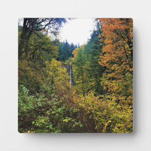 Latourell Falls, Columbia River Gorge, Oregon Fotoplatte