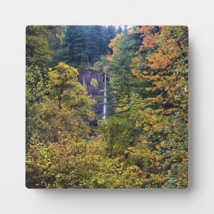 Latourell Falls, Columbia River Gorge, Oregon Fotoplatte