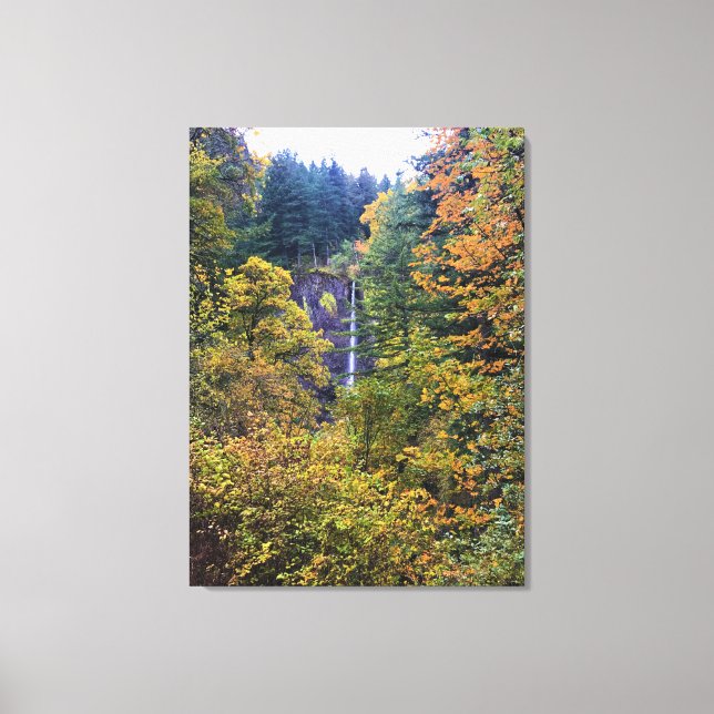 Latourell Falls, Columbia River Gorge, Oregon Leinwanddruck (Vorderseite)