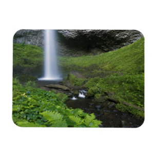 Latourell Falls, Columbia River Gorge, Oregon, Magnet