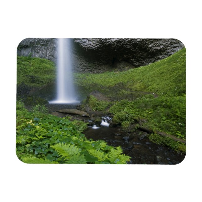 Latourell Falls, Columbia River Gorge, Oregon, Magnet (Horizontal)