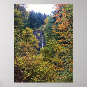 Latourell Falls, Columbia River Gorge, Oregon Poster