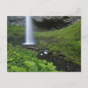 Latourell Falls, Columbia River Gorge, Oregon, Postkarte