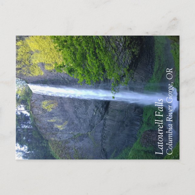 Latourell Falls Postkarte (Vorderseite)
