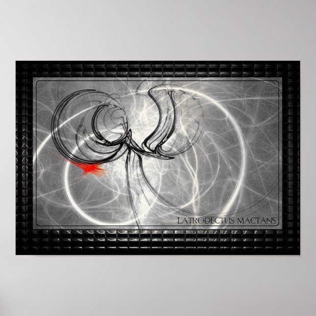 Latrodectus Mactans Poster (Vorne)