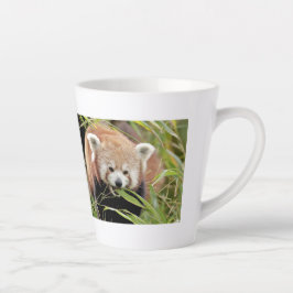 Latte Tasse Foto Rote Panda , Tiere . Latte Tasse