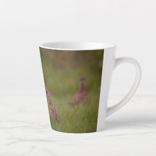 Latte Tasse mit süßer Fasanenmutter und Kinder