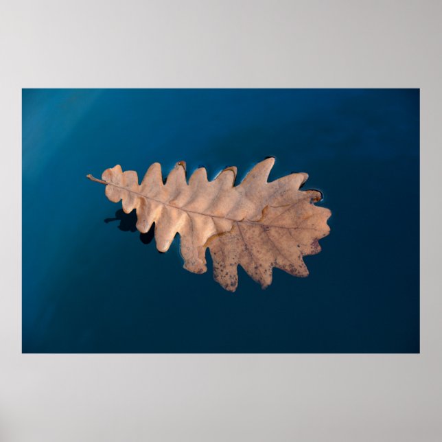 Laub Poster (Vorne)