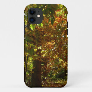 Laubdach des Herbstlaubs II Gelbe Herbstfotografie title_seo2