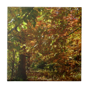 Laubdach des Herbstlaubs II Gelbe Herbstfotografie Fliese