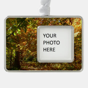 Laubdach des Herbstlaubs II Gelbe Herbstfotografie Rahmen-Ornament Silber