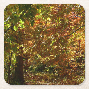 Laubdach des Herbstlaubs II Gelbe Herbstfotografie Rechteckiger Pappuntersetzer