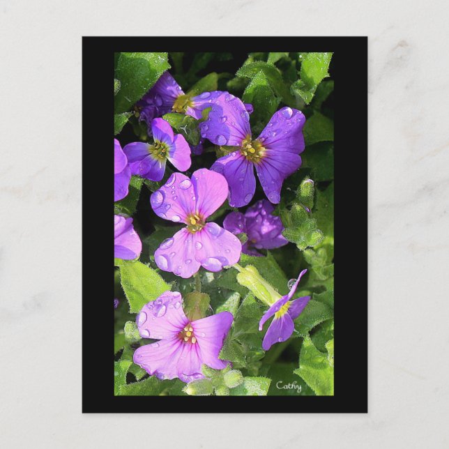 L'aubriète Postkarte (Vorderseite)