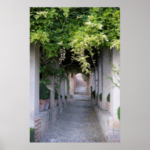 Laubüberwachsener Gehweg, Spanien Poster