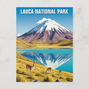 Lauca National Park Chile Travel Postkarte