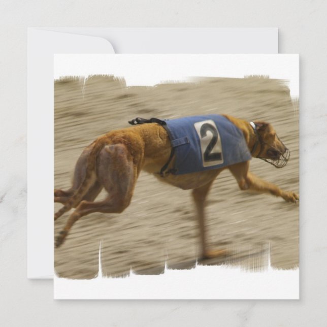 Laufen der Windhund-Hundeeinladung Einladung (Vorderseite)