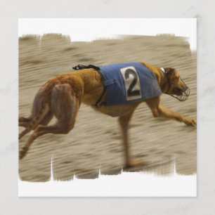 Laufen der Windhund-Hundeeinladung Einladung